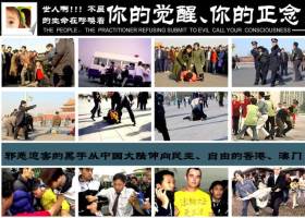 图片展板系列:悼念-停止迫害- 看世界-呼唤正念