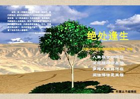 明慧丛书:《绝处逢生》