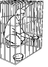 酷刑演示:铁笼子