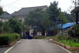 农家乐(斜侧面)