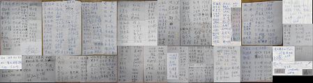 救助李珊珊签名人数已达五百二十八人