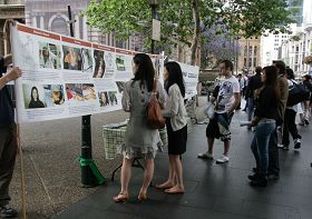 悉尼市政府大楼前,民众阅读法轮功真相