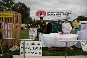 模拟演示,揭露中共酷刑迫害法轮功学员并活体摘取器官