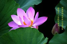 '明真相的北京世人代表全家欢庆法轮大法日!'