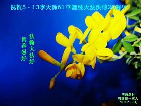 '陕西农村明真相一家人祝贺李大师61华诞暨大法洪传二十周年!'