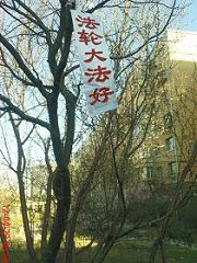 照片贺卡:迎风飘扬的“法轮大法好”在召唤着世人明白真相