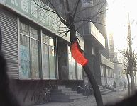 一路条幅迎风舞(远处可见其他条幅)