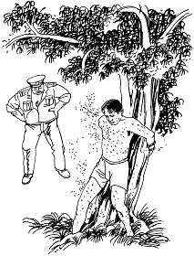 中共酷刑示意图:喂蚊虫咬