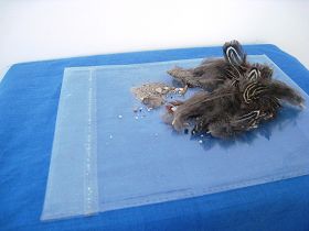 图中的沙子似的颗粒或粉末是鸡毛里带着的,应该有防腐剂吧,挑完毛就剩下很多这种东西。