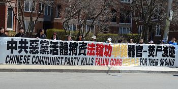 '二零一三年四月二十五日中午,数百名多伦多法轮功学员在驻加拿大多伦多中国领事馆前集会,再次以平和的形式、酷刑展示,向世人讲真相,揭露中共对法轮功的迫害,唤醒良知。'