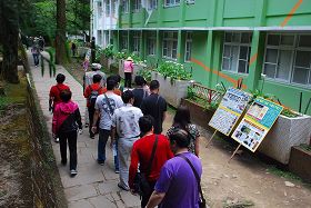 阿里山上,一群群大陆观光游客围看真相展板