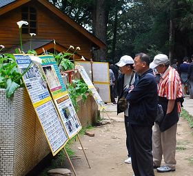 阿里山上,一群群大陆观光游客围看真相展板