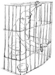 '酷刑演示:蹲小号'