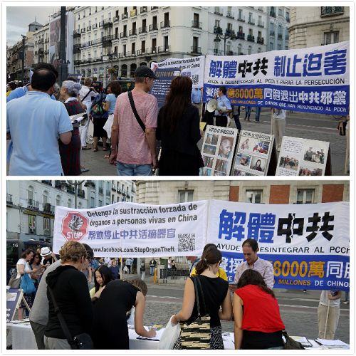 欧洲多个国家的法轮功学员马德里集会,向来自世界各地的游人和民众展示法轮功功法,征集签名反对活体摘取法轮功学员器官
