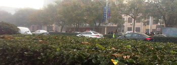 图1:左侧的景县法院办公区大门和右侧的审判区大门两旁,都有公安特警把守。公路两边均布满公检法及可疑车辆。