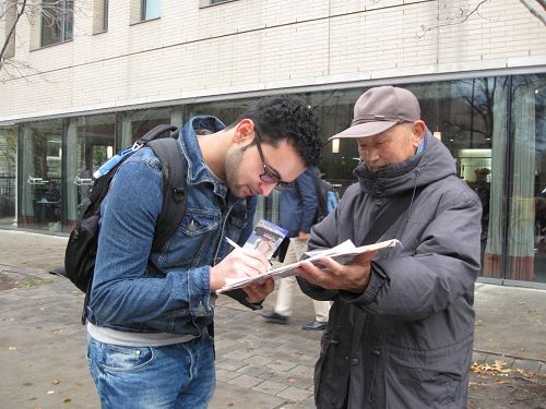 图8:来自沙特阿拉伯的Timitin