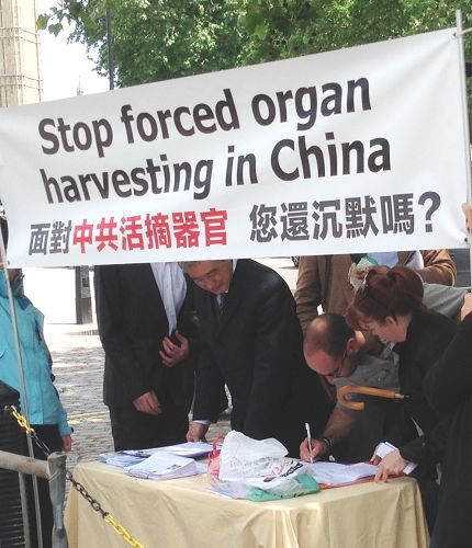图6:游客一个接一个签名反活摘