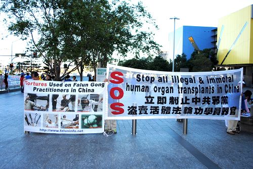 图1-3:澳洲昆士兰法轮功学员在布里斯本广场举行反迫害十五周年纪念活动,呼吁停止迫害。