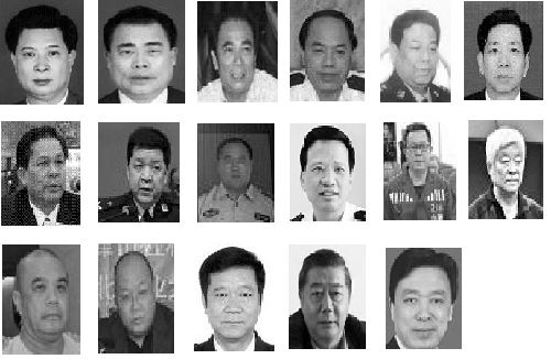 图1:2013年新增遭恶报部份人员
