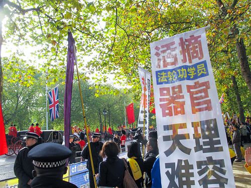 图8:二零一五年十月二十日,在林荫路(The Mall)上,习近平随从乘坐的马车路过法轮功真相横幅,他们面带微笑认真观看