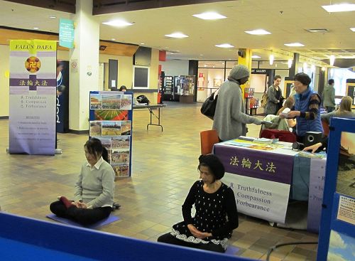图1:法轮功学员在演示第五套功法
