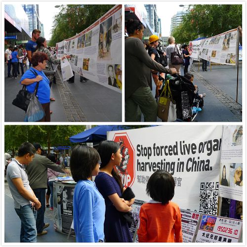 图4:悉尼北岸车士活当地市民主动了解真相、积极传播真相、坚决制止中共活摘器官