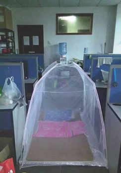 于亚欧师弟师妹们给他提供的地铺,住在标本馆办公室里
