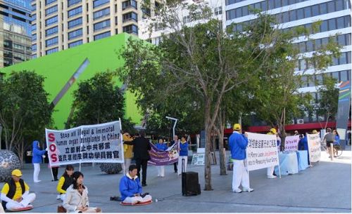 图1:在布里斯本广场揭露中共对法轮功长达十六年的残酷迫害