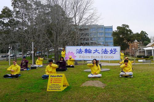 图1:七月二十二日,部分悉尼的法轮功学员来到戈斯福德市(Gosford)市中心的克伯公园,传播法轮功的真相。
