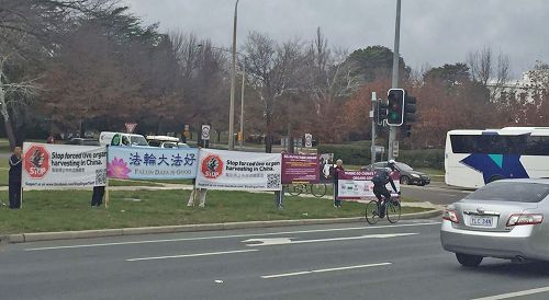 '图4:学员们在繁忙路口,或议员们上班必经路口拉横幅传真相'