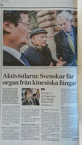 '图1:《瑞典日报》(SVD)关于中共强摘器官问题的报道'