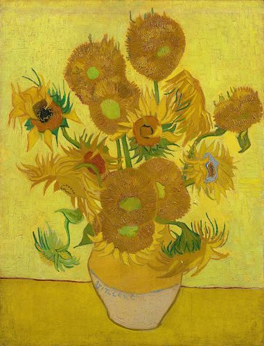 '图例:梵高的《向日葵》(Les Tournesols),布面油画,93×72厘米,作于1889年。此画虽然在博物馆恒温恒湿的条件下享受一流的保护和专家维护,但向日葵的颜色还是从最初的亮黄色变成了现在略微偏绿的棕色,在今年三月经过博物馆专家组暂时性修复。'
