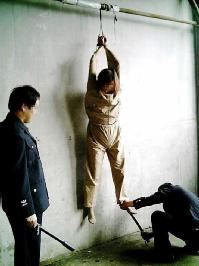 '酷刑演示:吊挂'