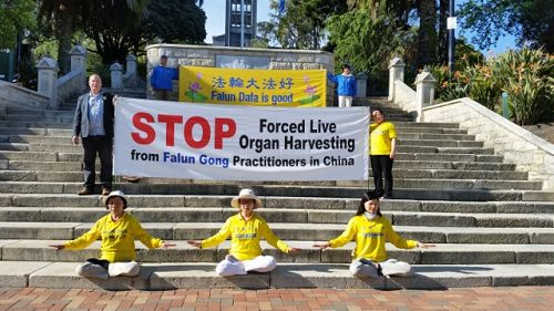 SOS车旅在新西兰尼尔森(Nelson) 接受当地媒体的采访与功法展示