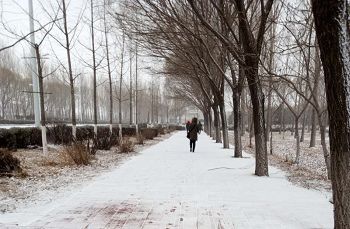 家属冒着飞雪去探望,失望而回