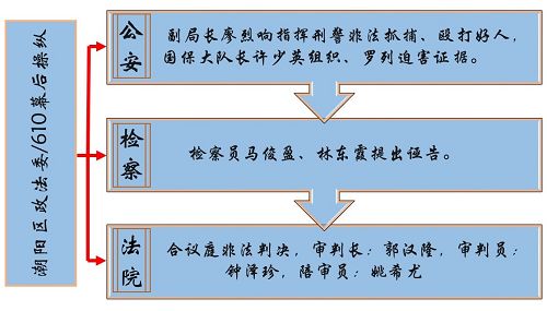 潮阳区公、检、法实施共同犯罪流程示意图,各部门领导同样负有迫害责任