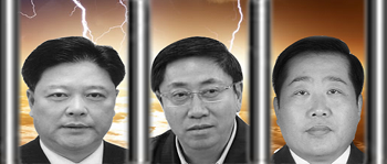 图2. 张家成(左)、李景涛(中)、吴刚壮(右)