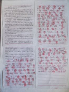 现在正是农村农忙季节,村民在百忙中纷纷签名,要求当即释放杨运涛。两个村屯共250户左右,共有208人签名。下面是村民的请愿。