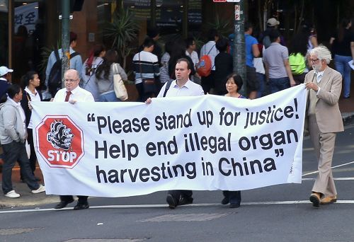 图18: 帕拉玛塔市议员和人权人士参加庆祝游行