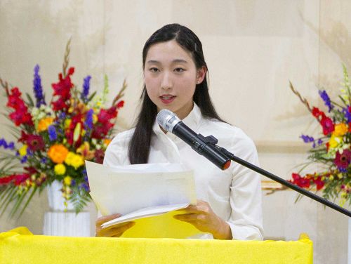 图2-10:大法小弟子发言