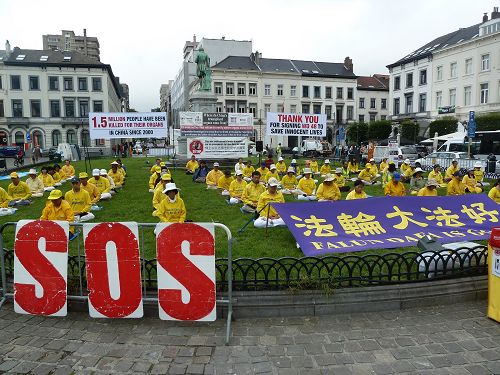 图1-2:法轮功学员在布鲁塞尔的欧洲议会大厦前呼吁反中共活摘器官
