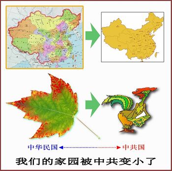 (合成图片)