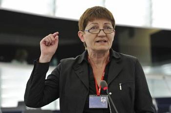 图1:欧洲议会议员科妮莉亚•恩斯特博士(Dr. Cornelia Ernst)