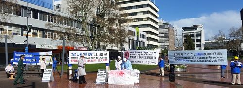 图3:在汉密尔顿市中心集会。