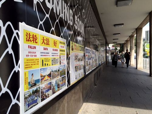 图4-5:这是去一家中餐馆的必经之路,午饭和晚饭时很多中国游客走过,不时有人停下脚步阅读。