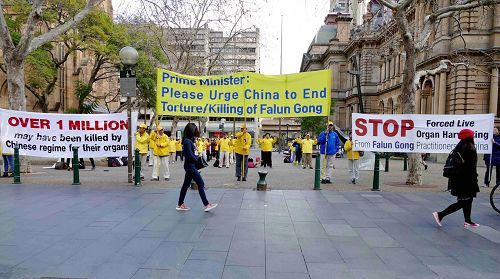 '图1-3:澳洲法轮功学员发起“汽车之旅”反迫害活动,八月二十九日,在悉尼市政厅举行了“汽车之旅”启程的新闻发布会,呼吁民众关注中共迫害法轮功,活摘法轮功学员器官的罪恶,共同制止。'
