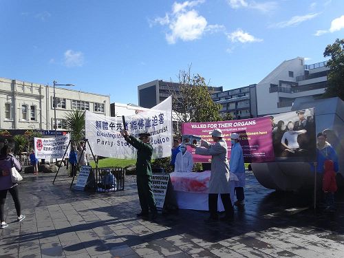 '图1:新西兰法轮功学员在奥克兰繁荣商业区的纽马克特(Newmarket)公园举办反酷刑展,以真人演示揭露中共残酷迫害法轮功'