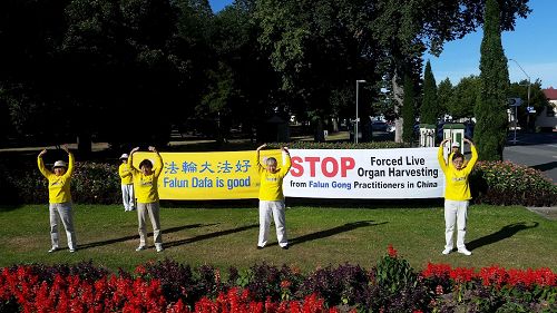 '图1:汽车之旅成员们在马斯特顿市(Masterton)'
