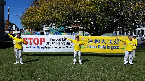 '图2:汽车之旅成员们在首都惠灵顿(Wellington)'