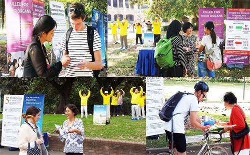 '图1~2:法轮功学员在市中心贝尔莫公园(Belmore Park)的主街上展示法轮功的五套功法和真相展板'